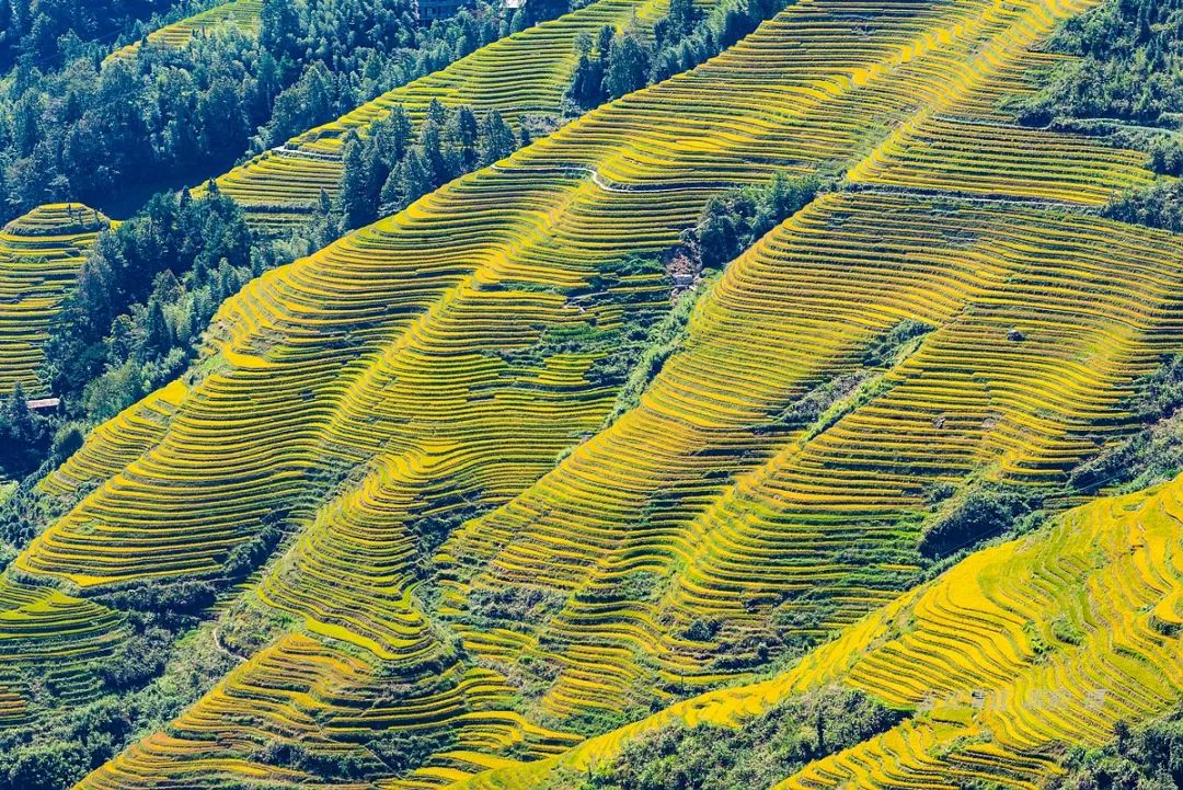 龙胜旅游攻略自由行_龙胜旅游攻略_龙胜旅游景点