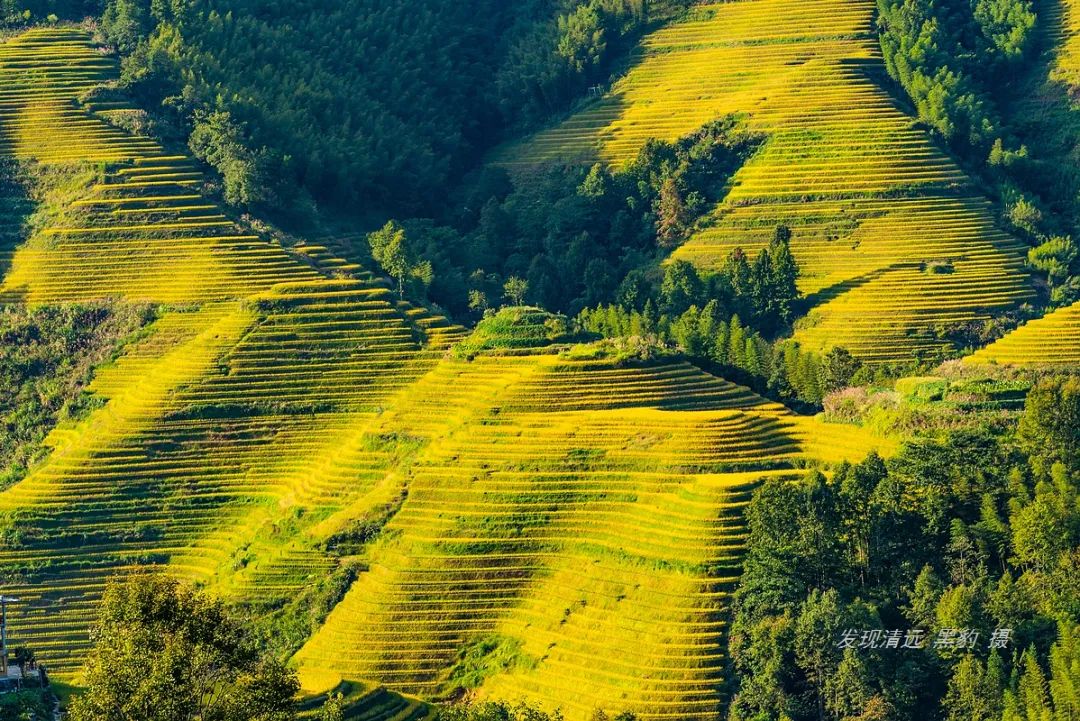 龙胜旅游攻略自由行_龙胜旅游攻略_龙胜旅游景点