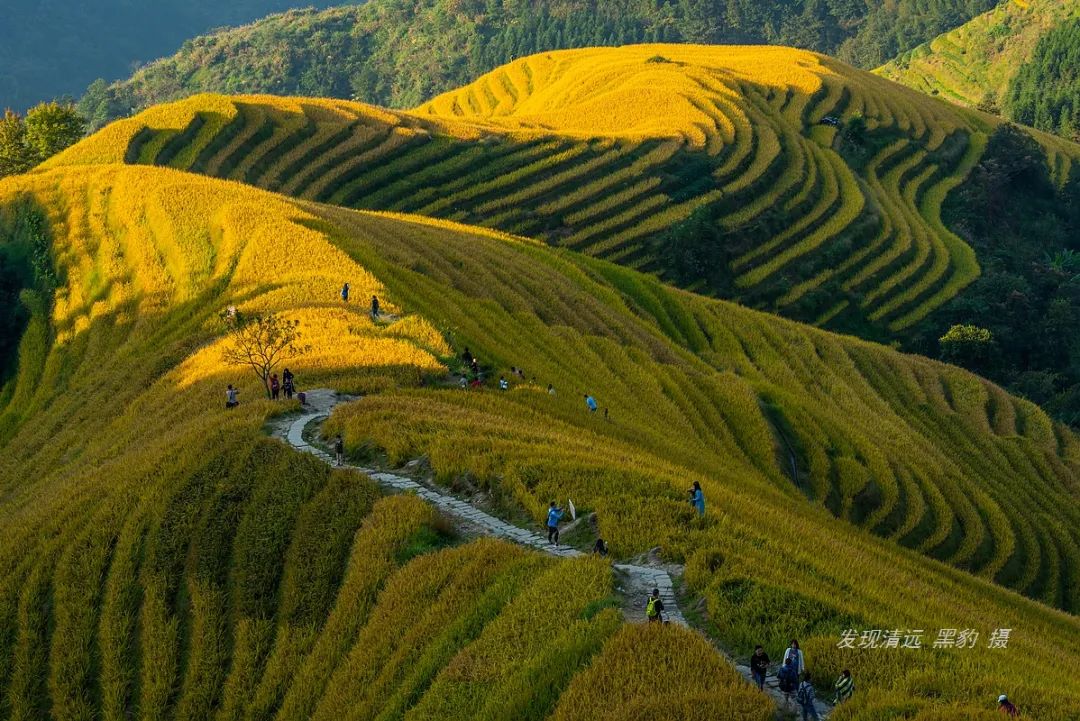 龙胜旅游攻略_龙胜旅游攻略自由行_龙胜旅游景点