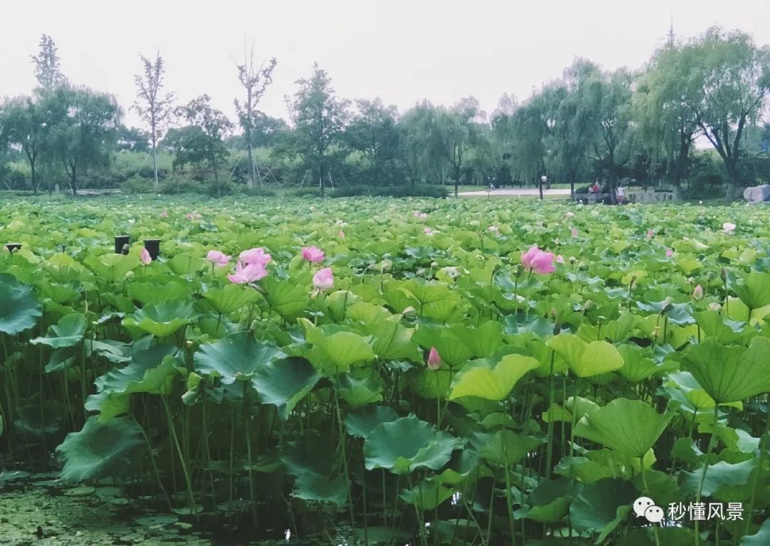 好玩景点苏州有哪些_苏州好玩的景点_苏州好玩儿的景点