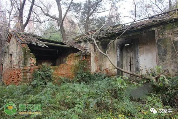 最新土地法宅基地_最新农村宅基土地政策_农村土地宅基地新政策2020