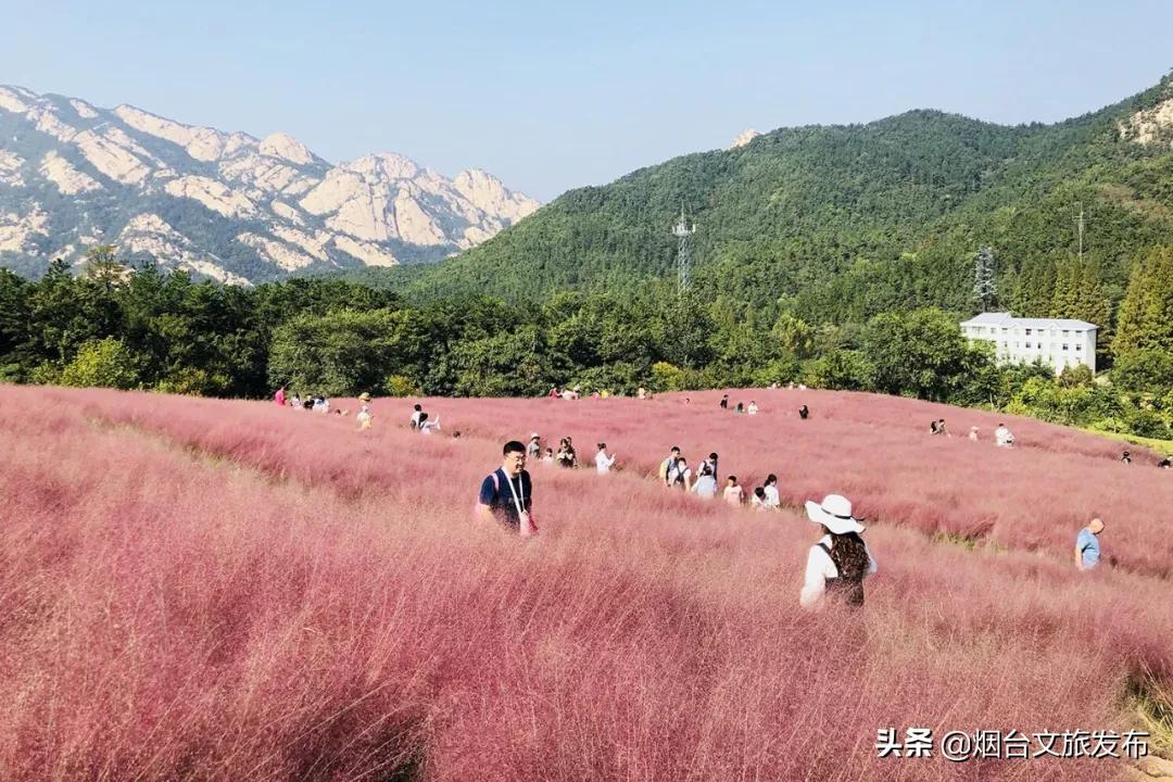 昆嵛山旅游攻略_昆旅游景点_昆嵛山自驾一日游攻略