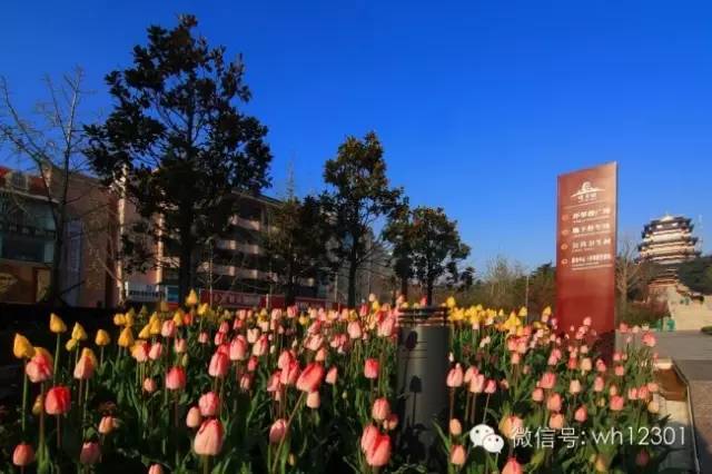 国内海边旅游景点推荐_海边旅游推荐国内_海边旅游景点排行国内