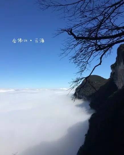 金佛山旅游攻略一日游_金佛山山上酒店预订_金佛山的金佛