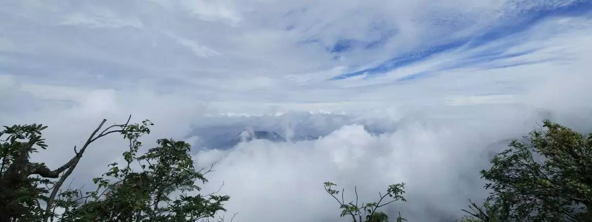 金佛山旅游攻略一日游_金佛山的金佛_金佛山山上酒店预订