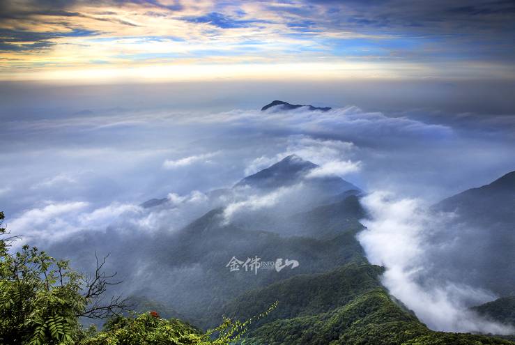 金佛山旅游攻略一日游_金佛山的金佛_金佛山山上酒店预订