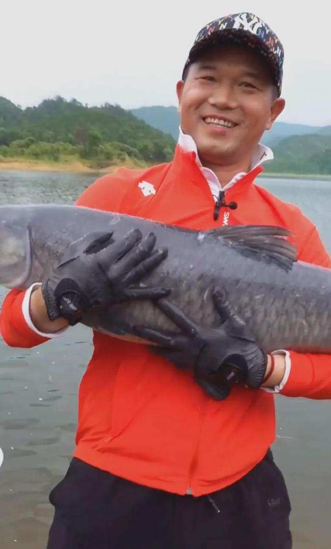 主播_主播福利_主播培训