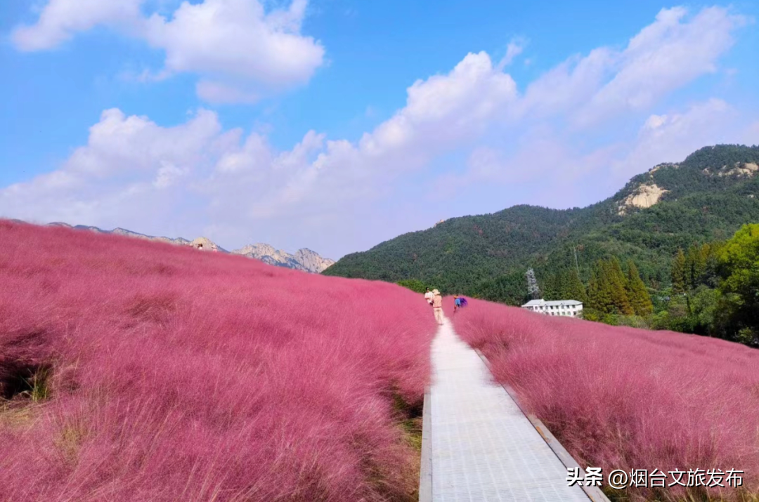 昆嵛山旅游路线_昆嵛山旅游攻略_昆嵛山自驾游攻略