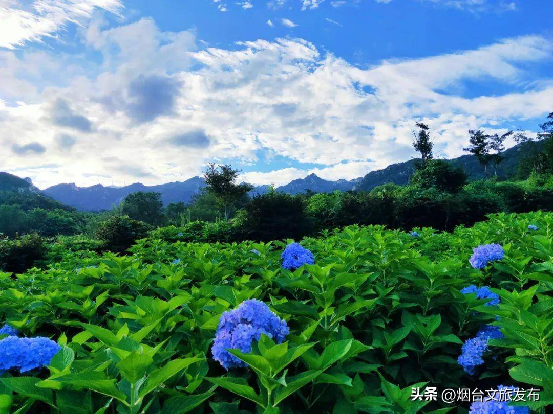 昆嵛山旅游路线_昆嵛山旅游攻略_昆嵛山自驾游攻略