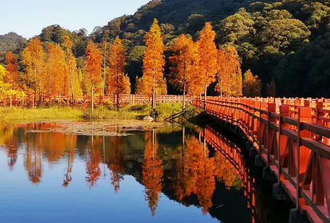 昆嵛山旅游路线_昆嵛山旅游攻略_昆嵛山自驾游攻略