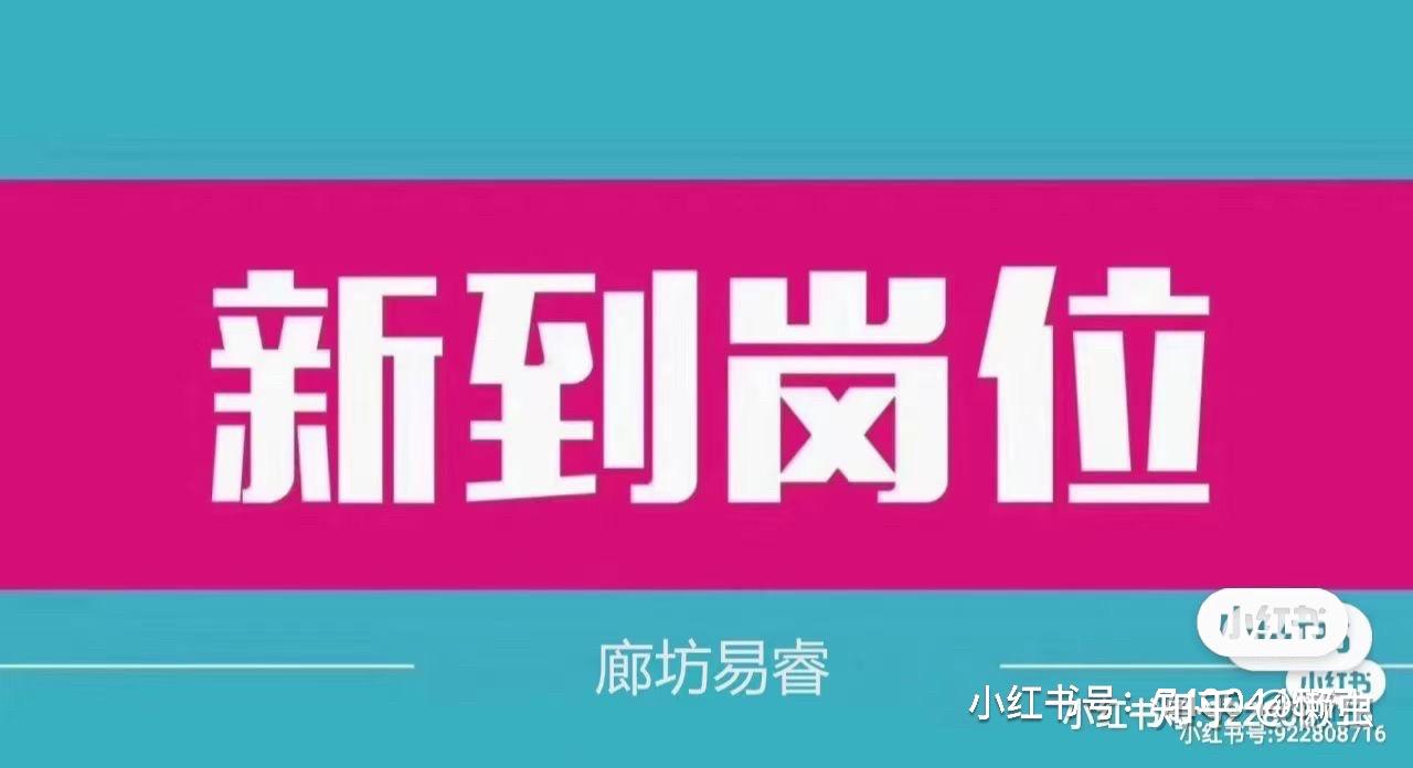 炒股5个月亏损48%辞职需谨慎，青禾就业，助力高端就业