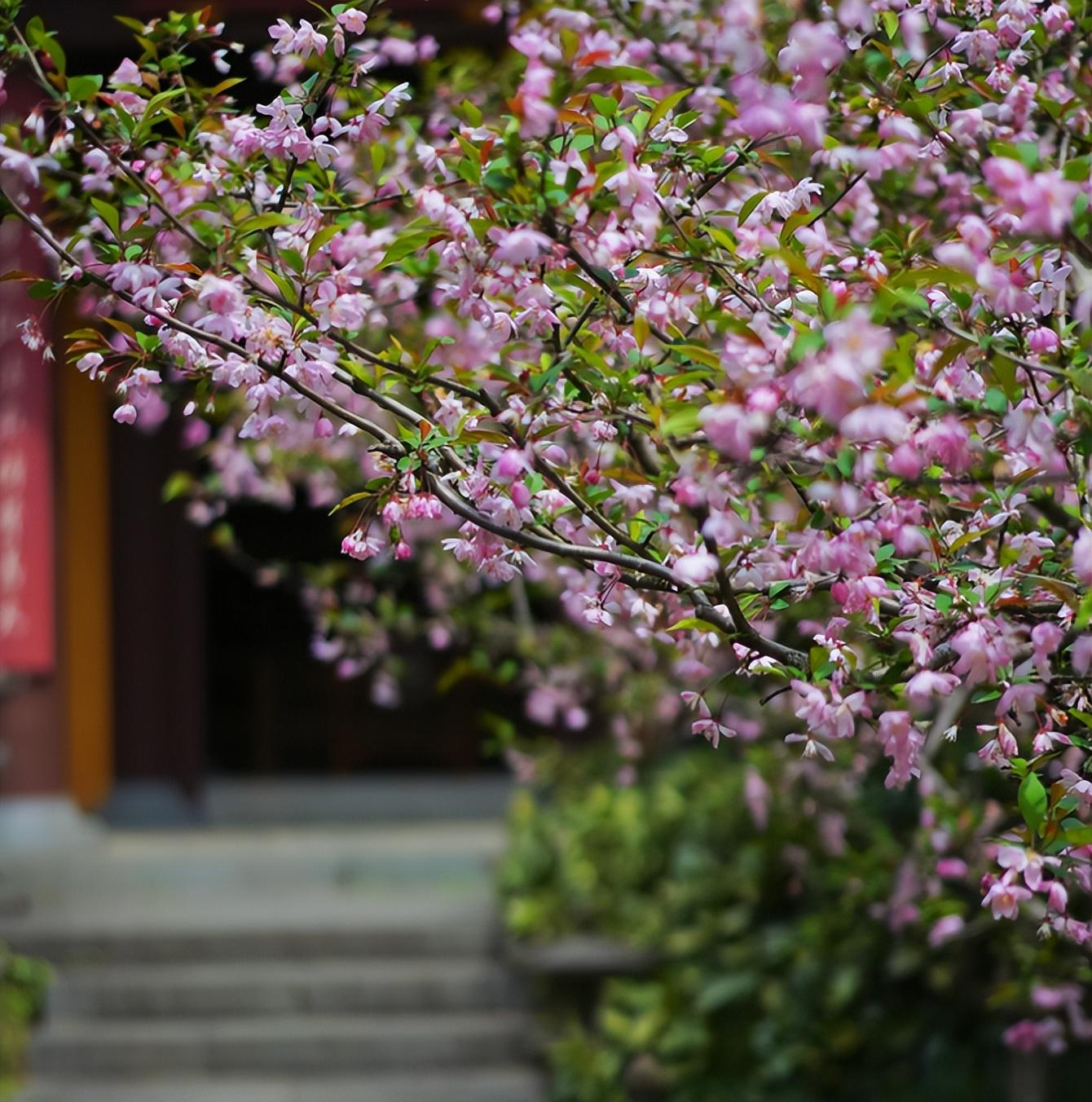 杭州吴山景区游玩攻略_杭州市吴山景区旅游攻略_杭州吴山景区游玩路线