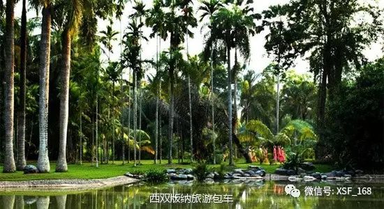 丽江自助游攻略线路图_丽江自助游自由行旅游攻略 享游网杭州越海商务,_自助游丽江3天攻略