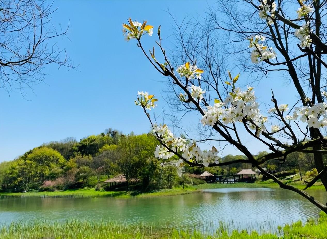 杭州市吴山景区旅游攻略_杭州吴山风景区攻略_杭州吴山景区游玩攻略