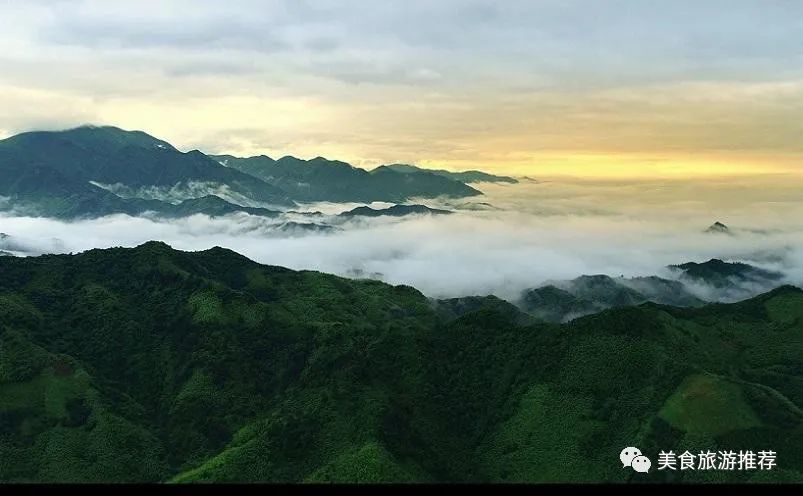 杭州天目山旅游攻略_杭州天目山旅游景点门票_攻略杭州旅游天目山路线