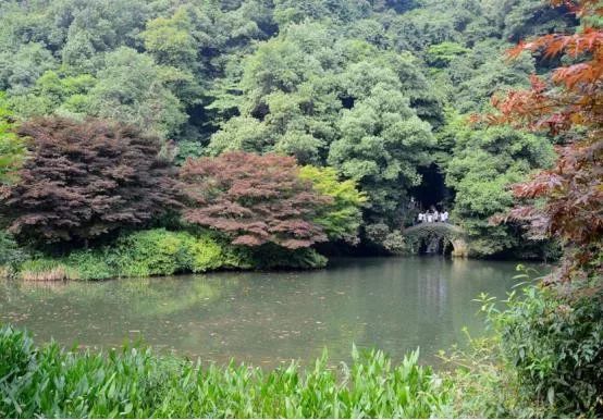 杭州天目山旅游景点门票_杭州天目山旅游攻略_攻略杭州旅游天目山路线