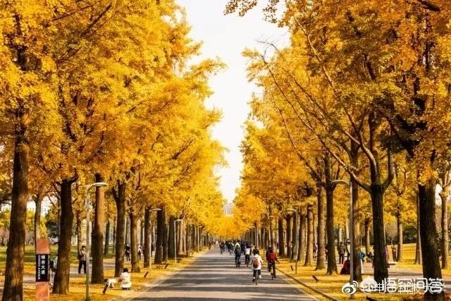 成都私立学校招聘_成都私立学校招聘信息_成都私立学校教师招聘信息
