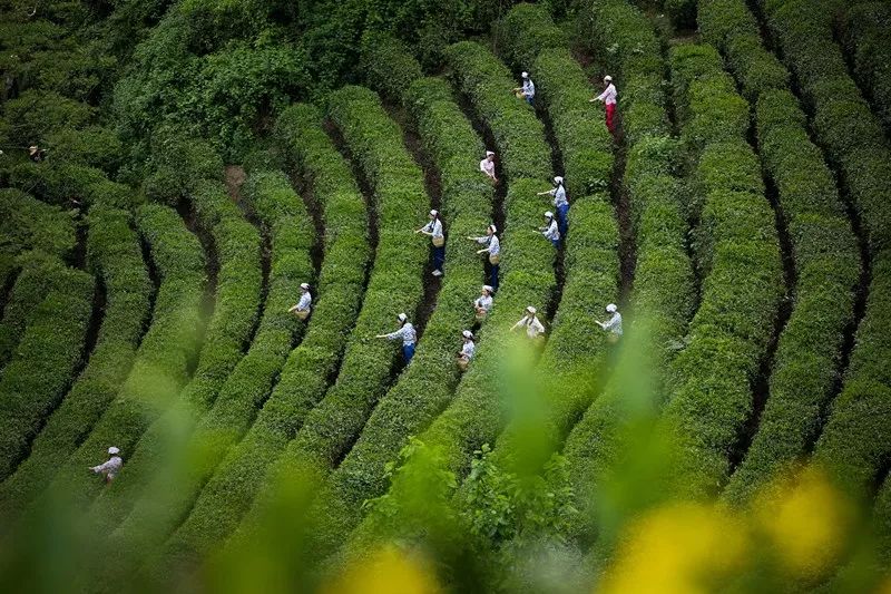 陕西紫阳风景图片_陕西紫阳旅游攻略_陕西紫阳景点一日游