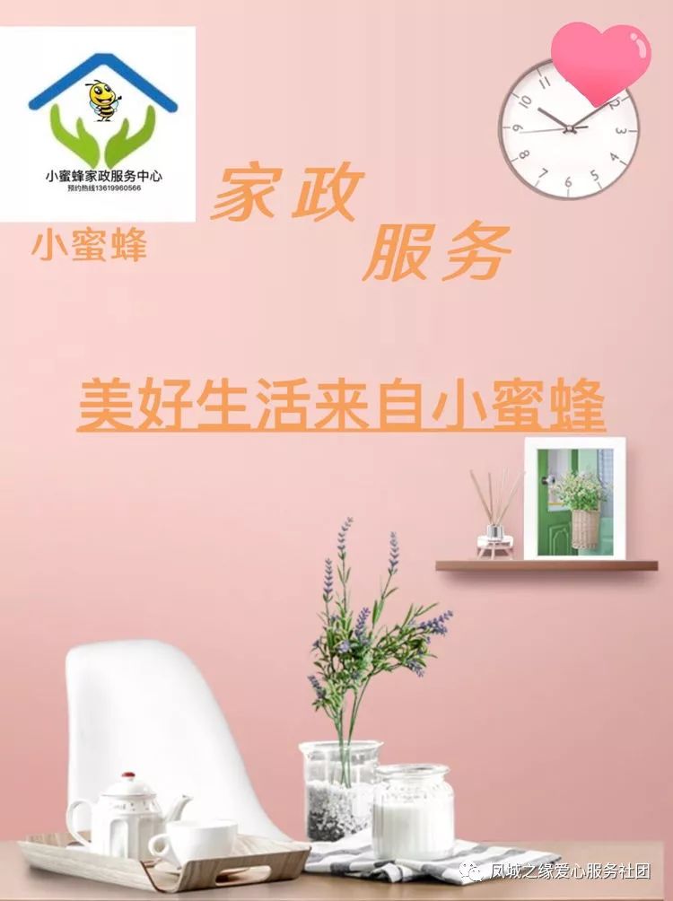 蜜蜂家政服务小店怎么样_小蜜蜂家政服务_蜜蜂家政服务小程序下载