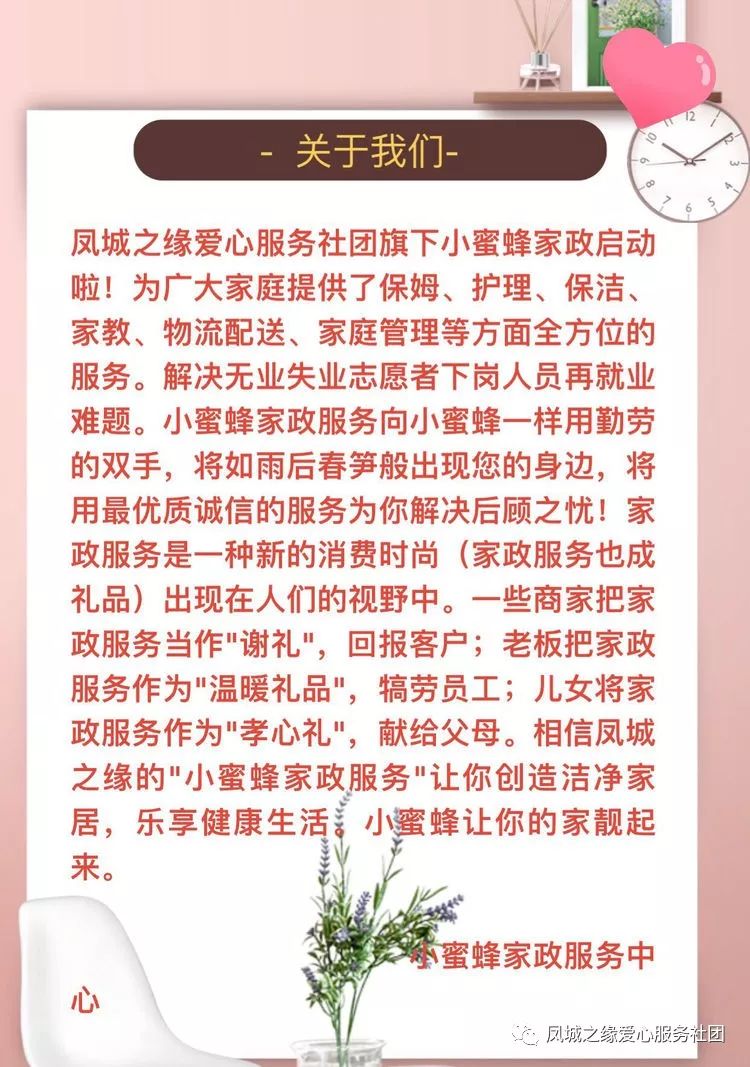 蜜蜂家政服务小店怎么样_小蜜蜂家政服务_蜜蜂家政服务小程序下载