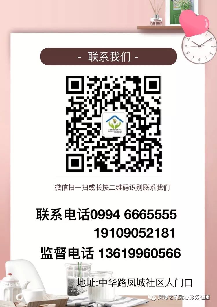 蜜蜂家政服务小程序下载_蜜蜂家政服务小店怎么样_小蜜蜂家政服务