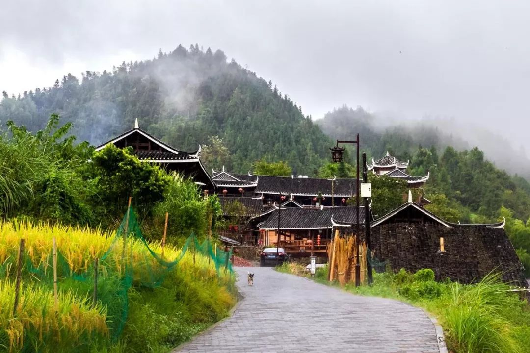 湖南怀化旅游攻略_怀化旅游线路推荐_湖南怀化旅游点