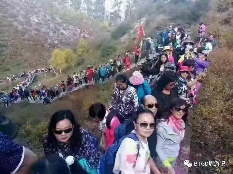 包头到胡杨林景区多少公里_包头到胡杨林旅游攻略_包头去胡杨林自驾