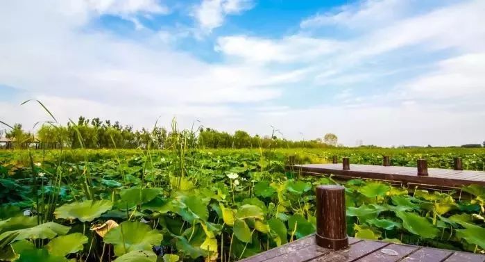 好玩景点丰县有哪些地方_丰县景点哪里有好玩的_丰县游玩的地方