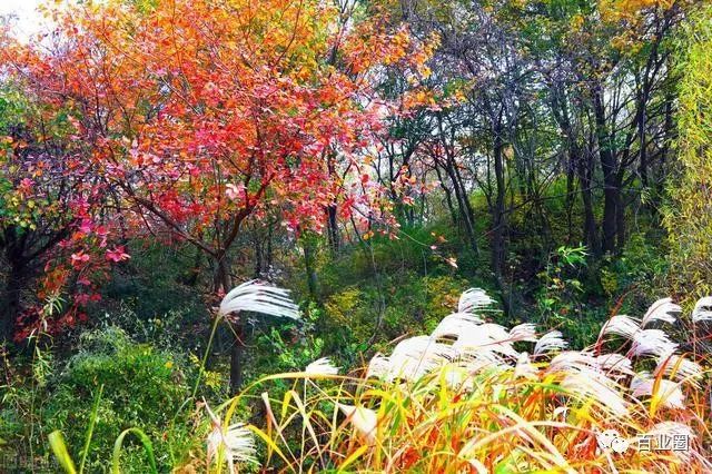 南阳有什么好玩的景点_南阳游玩景点_好玩南阳景点有哪些地方