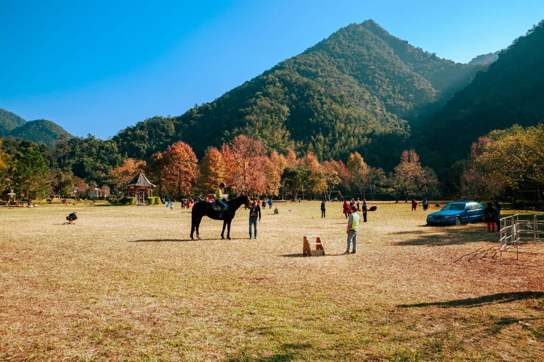 韶关旅游攻略_韶关旅游全攻略_攻略韶关旅游的地方