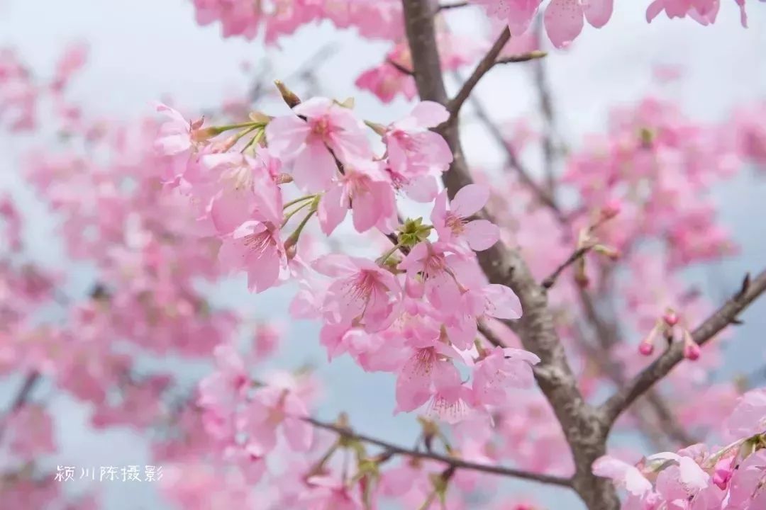 游玩厦门攻略天气30天_厦门旅游必去十大景点天气预报_厦门游玩攻略4天