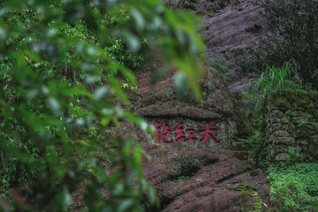 厦门游玩攻略4天_厦门旅游必去十大景点天气预报_游玩厦门攻略天气30天