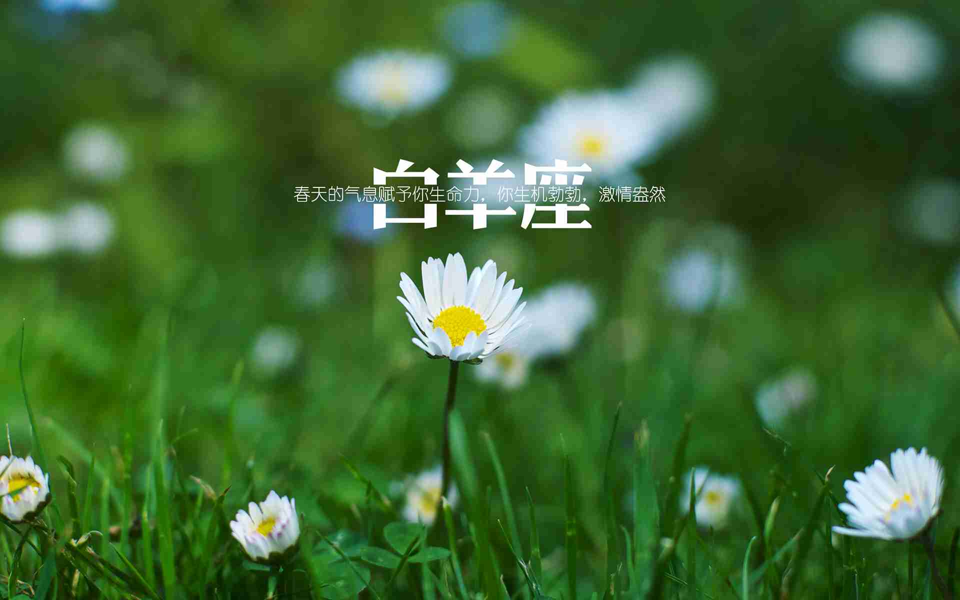 金牛 十二星座月的最佳打开方式，你知道几个？