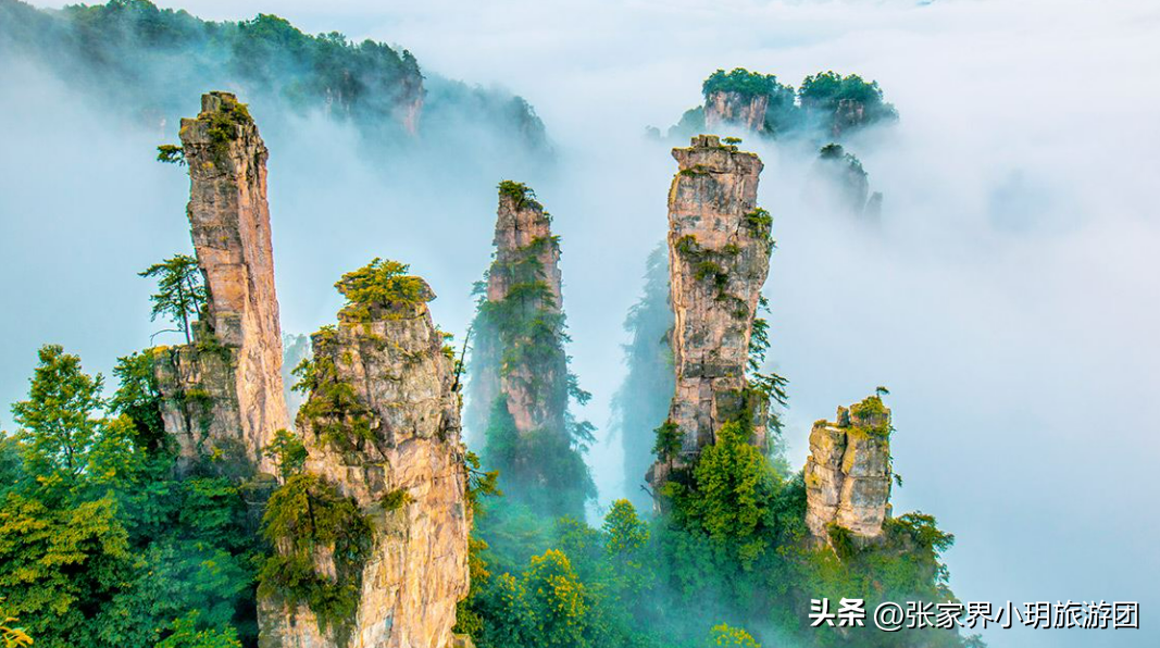 湖南凤凰旅游景点_湖南凤凰一日游_湖南凤凰旅游攻略