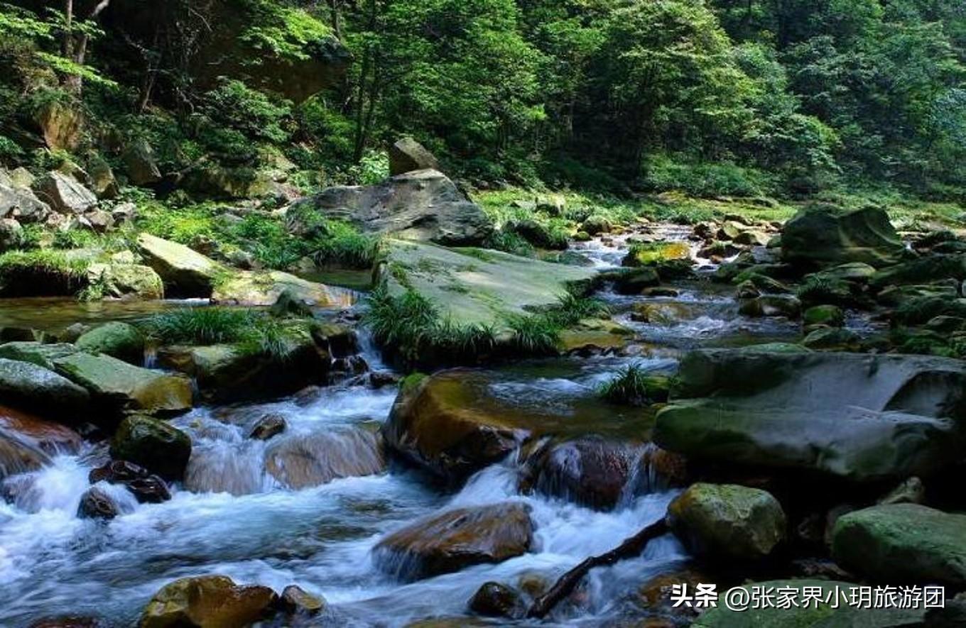 湖南凤凰一日游_湖南凤凰旅游景点_湖南凤凰旅游攻略