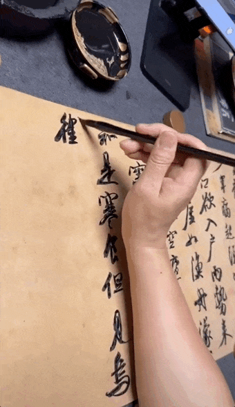 主播福利_主播_主播直播