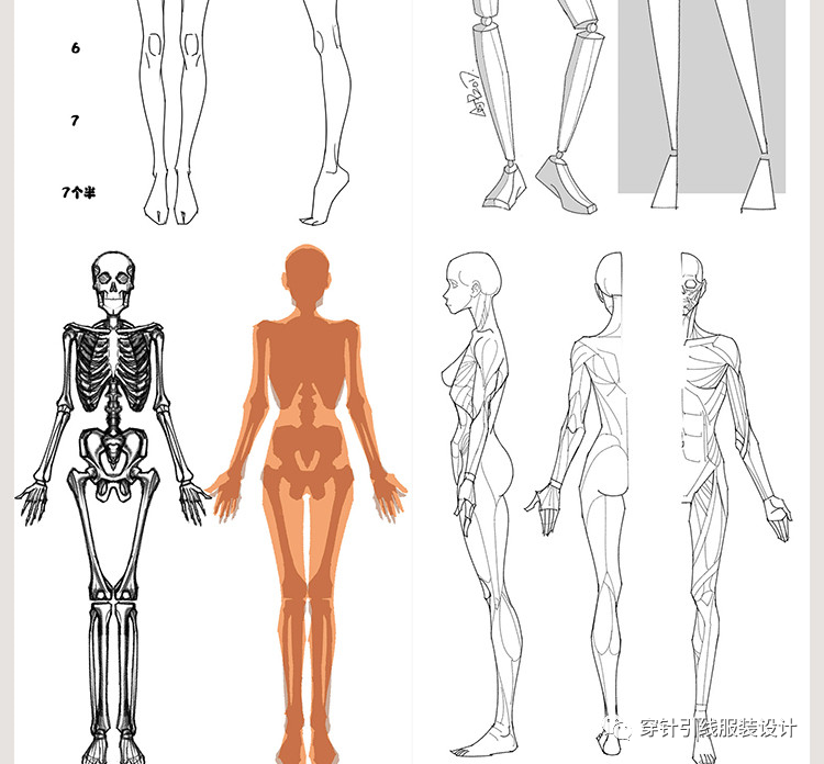 服装设计专用软件_服装设计教学软件_服装设计软件教程