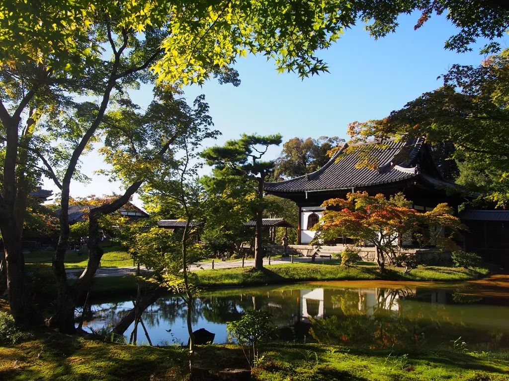 京都清水寺介绍_京都清水寺门票价格_京都清水寺旅游攻略