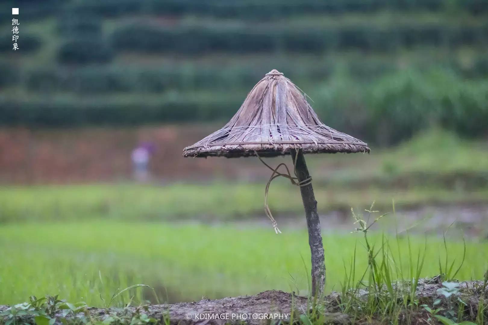 土楼旅游网_土楼旅游攻略_游玩土楼攻略