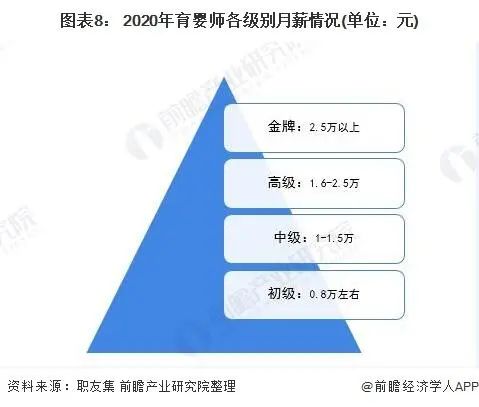 家政服务行业分析报告_家政行业分析服务方案_家政服务行业分析