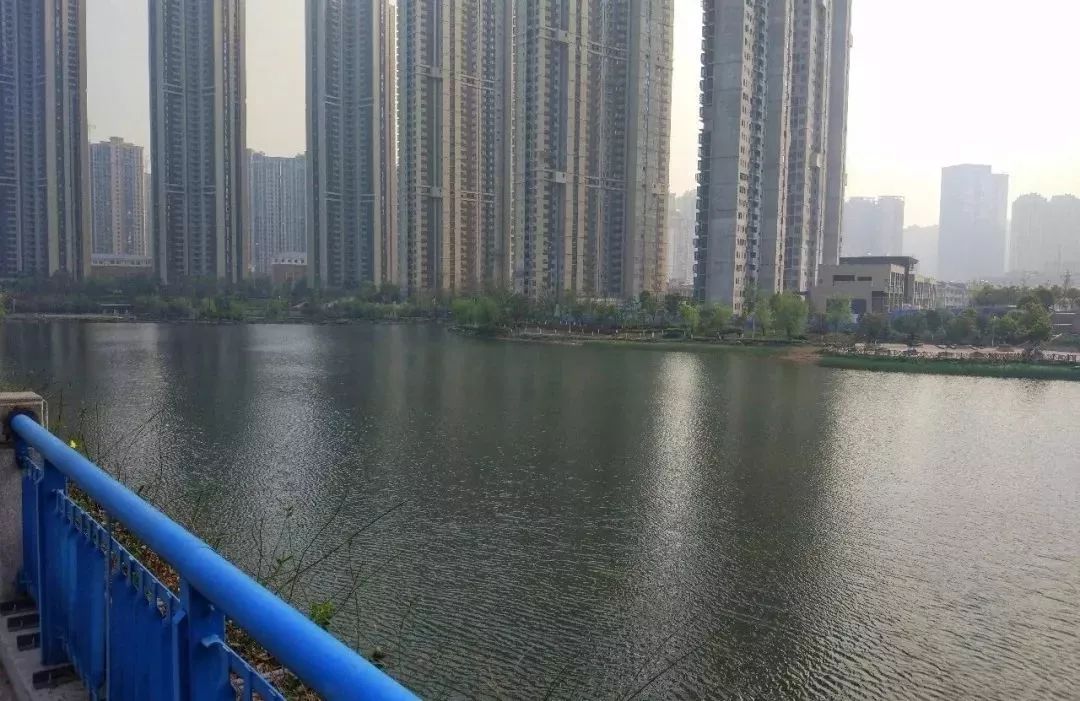 好玩的地方长沙市_长沙市区景区最好玩的地方_长沙市区好玩的景点