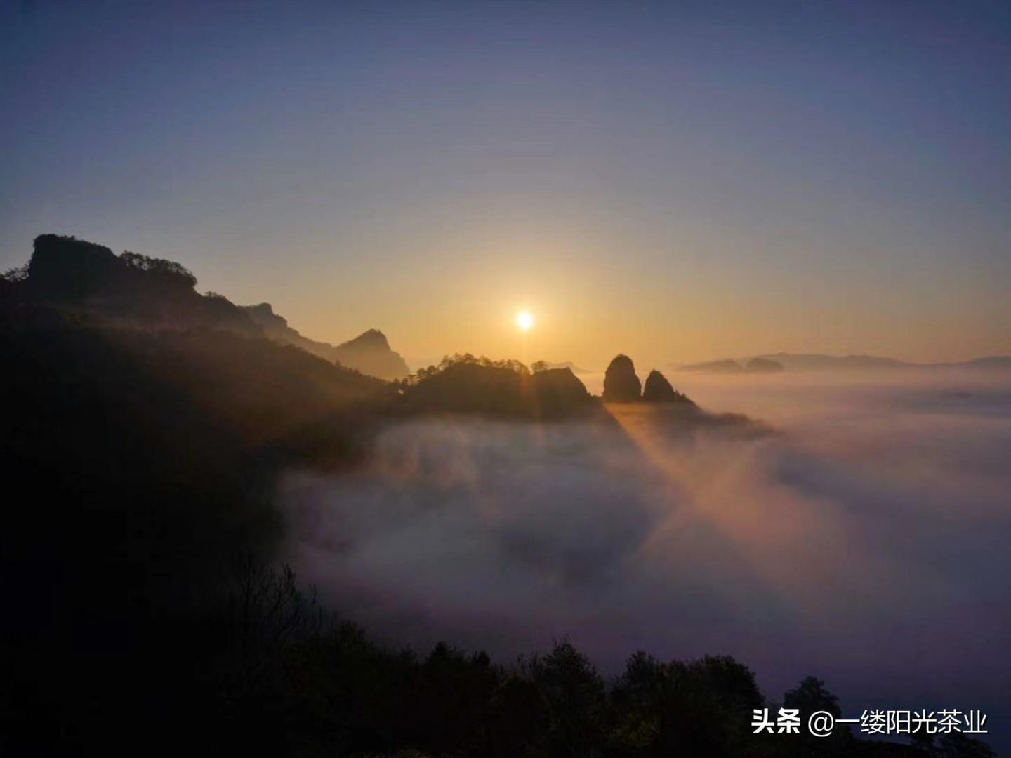 武夷山 旅游攻略_武夷山旅游攻略1日游_旅行攻略武夷山