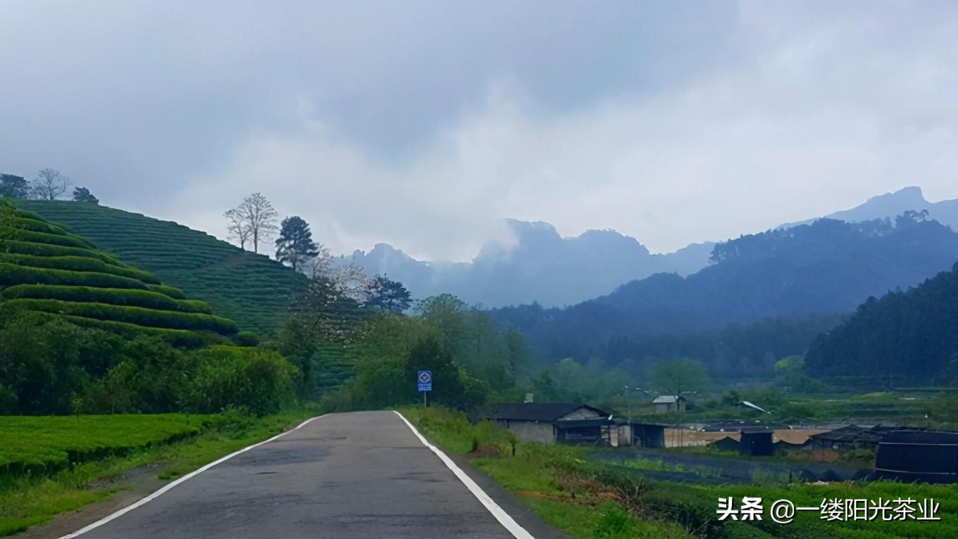 武夷山旅游攻略1日游_旅行攻略武夷山_武夷山 旅游攻略