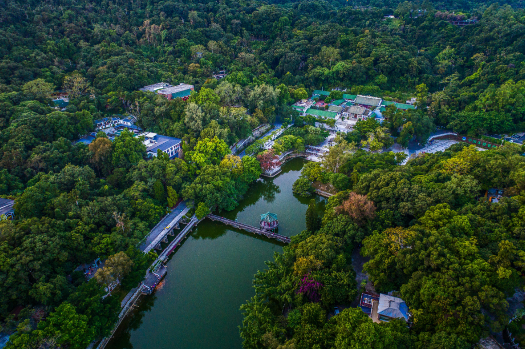 风景旅游国内好的地方_风景旅游国内好玩的地方_国内旅游哪个风景好