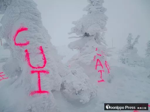 出国旅游的人_中国人出国旅游真丢人_中国人出国旅游国家排名