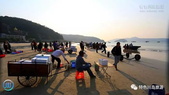 高栏岛要门票吗_高栏岛旅游攻略_高栏岛地图