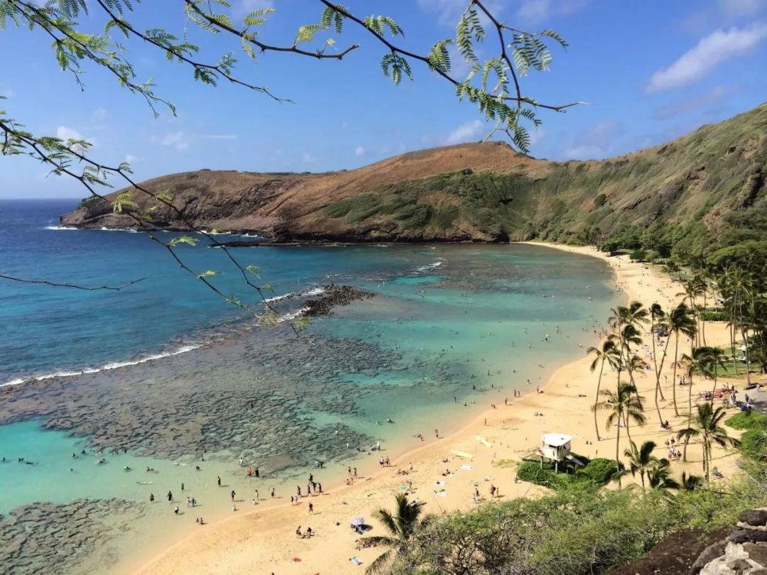 夏威夷景区_夏威夷度假区_夏威夷希洛旅游攻略