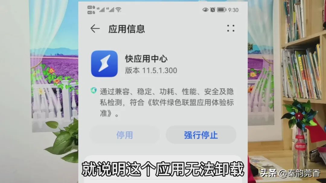 自带删除软件才能手机控制吗_删除手机自带软件会怎么样_怎样才能删除手机自带软件