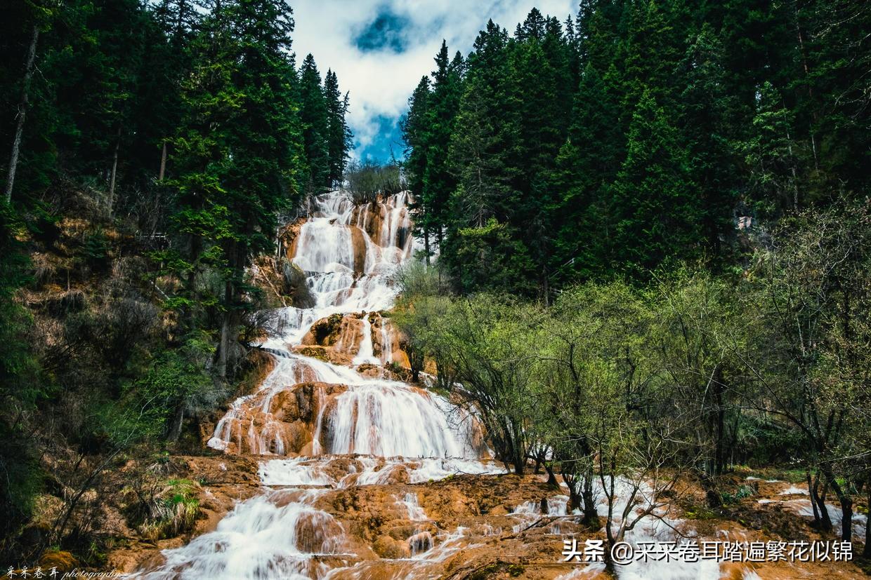 乐山攻略旅游到碧峰峡景区_乐山到碧峰峡旅游攻略_乐山攻略旅游到碧峰峡怎么走