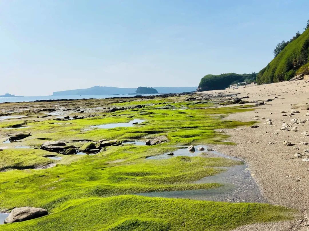 岛屿游玩攻略_涠洲岛旅游攻略图片_岛的景点